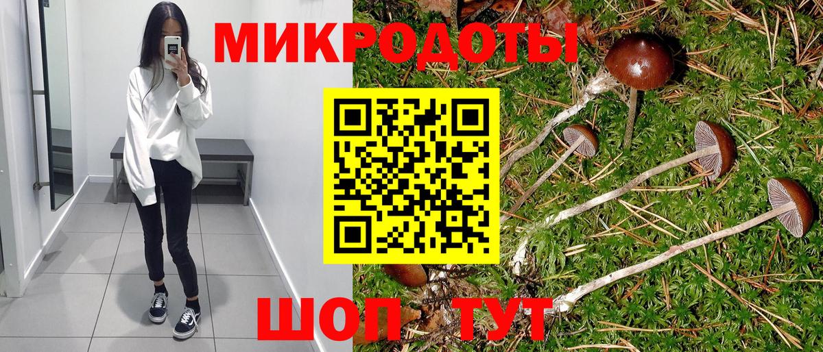 Псилоцибиновые грибы Magic Shrooms Сибай