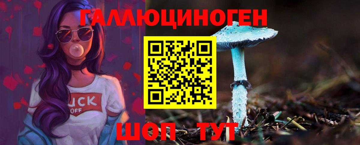 Галлюциногенные грибы MAGIC MUSHROOMS  Вход с VPN  Сибай  Псилоцибиновые грибы Psilocybe 